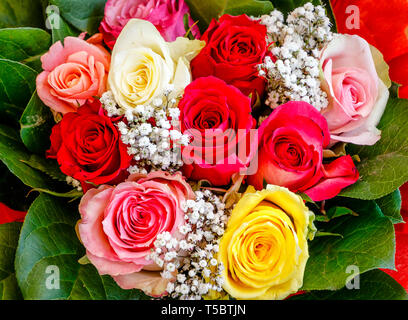 Bouquet di bel rosso, giallo e rosa e rose bianche Foto Stock