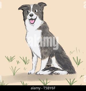 Un sorridente Border Collie cane illustrazione Foto Stock