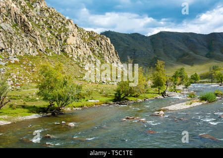 Ursul fiume nelle montagne di Altai, Altai Repubblica Foto Stock