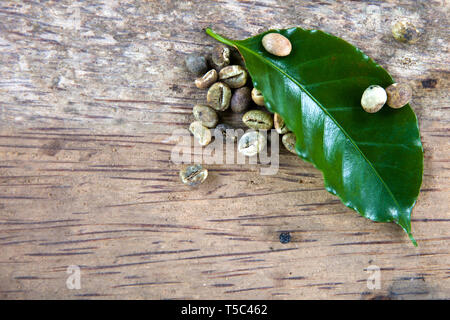 Kofi Luwak i chicchi di caffè e la foglia sul tavolo di legno Foto Stock