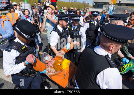 La polizia arresto di un manifestante presso la ribellione di estinzione camp sul ponte di Waterloo, Londra Foto Stock