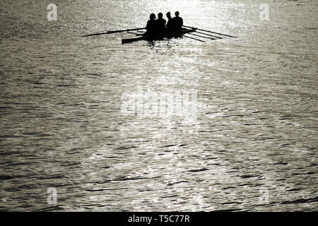 Un team di quattro rematori in una coxless quattro in silhouette sul Fiume Tamigi a Kingston, Regno Unito Foto Stock
