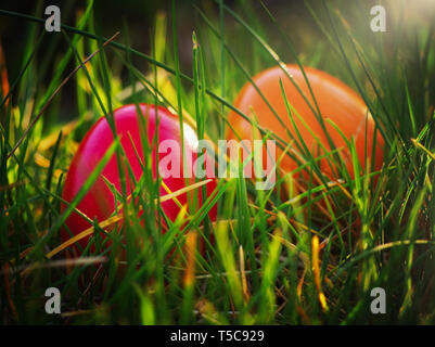 Felice Pasqua uova Foto Stock