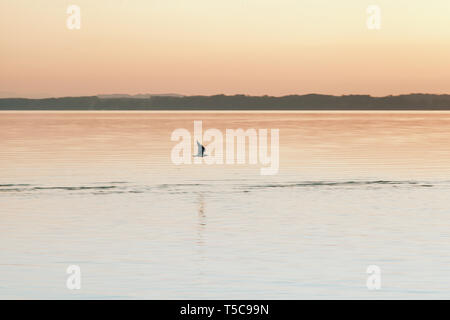 Un tramonto meraviglioso nel lago Chiemsee con colori arancione e un gabbiano volare sopra l'acqua Foto Stock