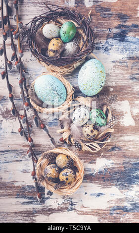 Uova di Pasqua in nidi e i rami di salici. Decorazioni di pasqua. Superficie rustico. Vista dall'alto. Colpo verticale Foto Stock