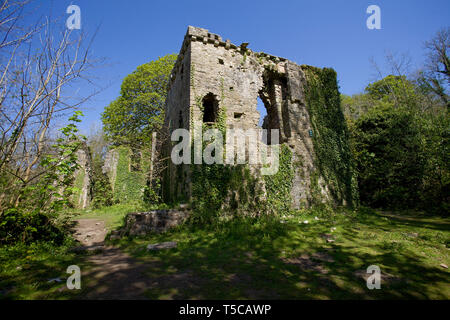 Candleston Castle, Merthyr Mawr, Galles Foto Stock