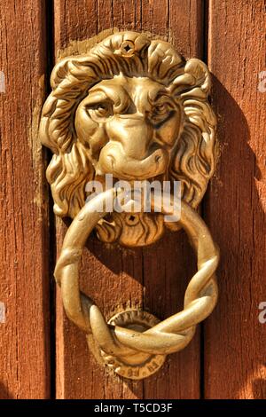 Vintage respingente porta a forma di leone su marrone porta in legno Foto Stock