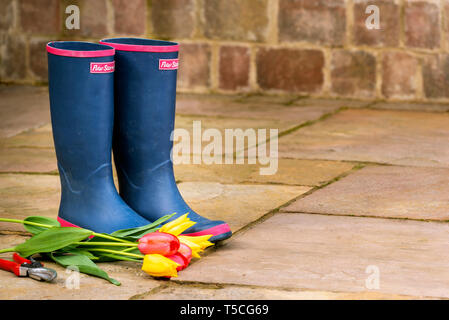 Coppia di blu stivali da pioggia su un patio in pietra. Onorevoli stivali da pioggia. La molla di fiori recisi di colore giallo e rosso tulipani, con secateurs. Foto Stock