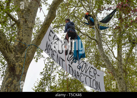 Londra, Regno Unito. 22 apr, 2019. Gli attivisti arrampicarsi sugli alberi a Piazza del Parlamento durante il 'London: International Rebellion', il giorno nove di una protesta organizzata dalla ribellione di estinzione. I dimostranti chiedono che i governi stanno prendendo provvedimenti contro il cambiamento climatico. La polizia ha rilasciato una sezione 14 ordine per la piazza del Parlamento e si aspettano che l occupazione della piazza avrà concluso entro la fine della giornata. Credito: Stephen Chung/Alamy Live News Foto Stock