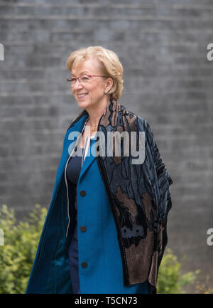 A Downing Street, Londra, Regno Unito. Il 23 aprile 2019. Andrea Leadsom, leader di Commons di Downing Street per settimanale riunione del gabinetto. Credito: Malcolm Park/Alamy Live News. Foto Stock