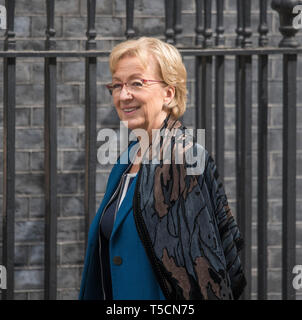 A Downing Street, Londra, Regno Unito. Il 23 aprile 2019. Andrea Leadsom, leader di Commons di Downing Street per settimanale riunione del gabinetto. Credito: Malcolm Park/Alamy Live News. Foto Stock