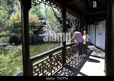 (190423) -- NEW YORK, 23 aprile 2019 (Xinhua) -- i visitatori godere il paesaggio di primavera nel studioso cinese il giardino a Staten Island, New York, Stati Uniti, 23 aprile 2019. (Xinhua/Wang Ying) Foto Stock