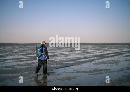 Cuxhaven, Germania. Xx Apr, 2019. La guida Hans passeggiate attraverso il mare di Wadden con la bassa marea. Credito: Mohssen Assanimoghaddam/dpa/Alamy Live News Foto Stock