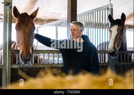 Cuxhaven, Germania. Xx Apr, 2019. Kai Stelling, che offre corse di carri con carrozze trainate da cavalli, sorge con i suoi cavalli nella stalla. Credito: Mohssen Assanimoghaddam/dpa/Alamy Live News Foto Stock