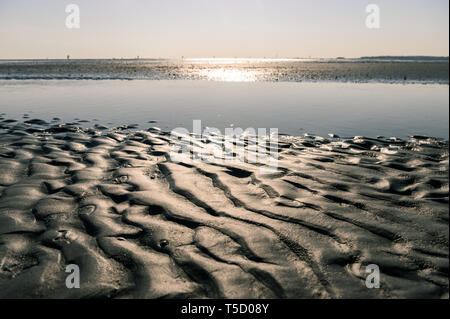 Cuxhaven, Germania. Xx Apr, 2019. Una vista di un priel nel mare di Wadden tra Cuxhaven e l Isola di Neuwerk. Credito: Mohssen Assanimoghaddam/dpa/Alamy Live News Foto Stock