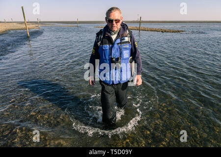 Cuxhaven, Germania. Xx Apr, 2019. Il Wattführer Hans va a bassa marea da un Priel in Watt. Credito: Mohssen Assanimoghaddam/dpa/Alamy Live News Foto Stock