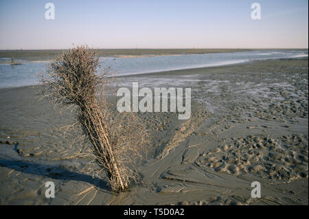 Cuxhaven, Germania. Xx Apr, 2019. Una vista di un priel nel mare di Wadden tra Cuxhaven e l Isola di Neuwerk. Credito: Mohssen Assanimoghaddam/dpa/Alamy Live News Foto Stock