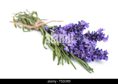 Lavanda fiori mazzetto legato isolati su sfondo bianco Foto Stock