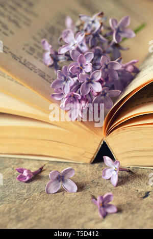 Fiori lilla con open old book Foto Stock