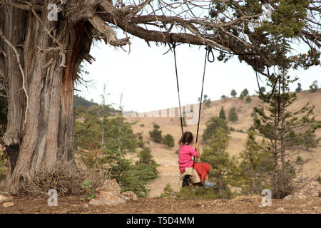 Albero di ginepro, swing e giocare con il bambino Foto Stock