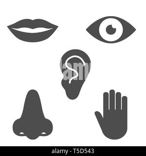 Illustrazione Vettoriale, design piatto. Sensi umani icona Illustrazione Vettoriale