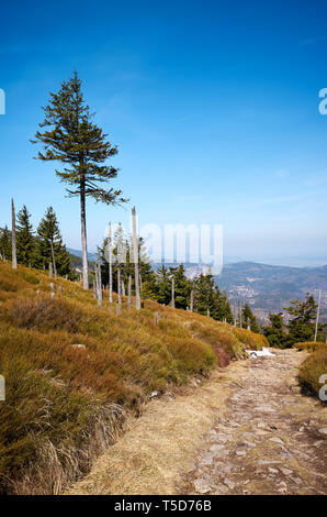 Escursionismo percorso di montagna in Karkonosze National Park in primavera, Polonia. Foto Stock