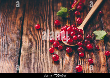 Cucchiaio di ribes rosso oltre il buio superficie in legno Foto Stock