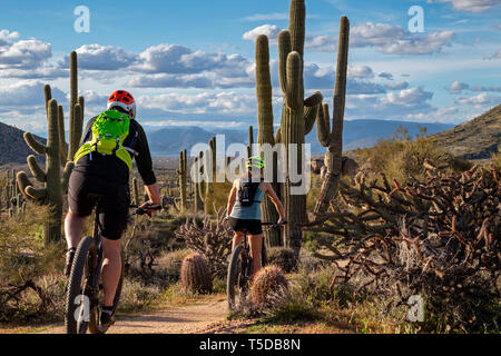 Gli amanti della mountain bike sul Desert Trail nella parte Nord di Scottsdale, Arizona con cactus e le montagne sullo sfondo. Foto Stock