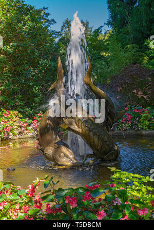 Canada, Brentwood Bay, Butchart Gardens, Fontana di storione Foto Stock