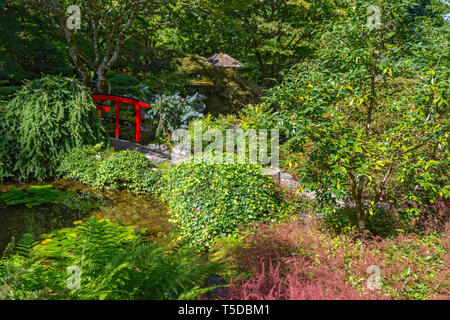 Canada, Brentwood Bay, Butchart Gardens, giardino giapponese Foto Stock