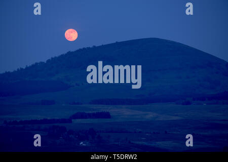 Pink Moon Rising su grandi Mell cadde, Lake District inglese, REGNO UNITO Foto Stock