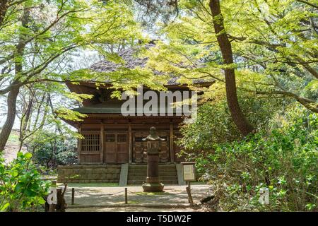 Sanctum buddista di ex Tempio Tokeiji, giardino Sankeien, Naka-Ku, città di Yokohama, nella prefettura di Kanagawa, Giappone Foto Stock