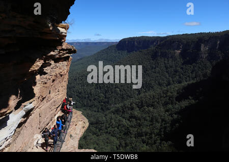 Grand scale affacciato sulla Jamison Valley, il Parco Nazionale Blue Mountains, NSW, Australia Foto Stock