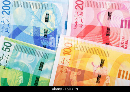 Nuovo israeliano sicli, il lato di retromarcia, un background aziendale Foto Stock