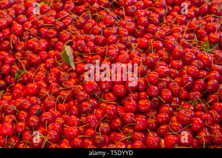 Una chiusura di alcuni vivaci e gustoso, fresche Ciliege rosse a un mercato in Provenza, Francia Foto Stock