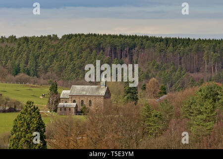 Nella piccola chiesa Ardenne paesaggio con prati e alberi di pino di Liegi, Belgio Foto Stock