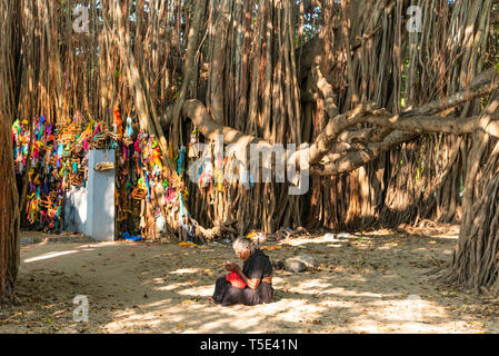 Vista orizzontale di una vecchia signora pregando in un WISHING TREE in Rameswaram, India. Foto Stock