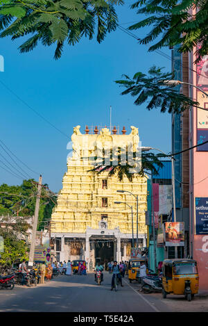 Streetview verticale di Ramanathaswamy Temple in Rameswaram, India. Foto Stock