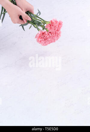 Concetto di Design - Donna dando i garofani bouquet su marmo sfondo bianco, vista dall'alto, copia spazio, vicino, mock up. Festa della mamma idea ispirazione. Foto Stock