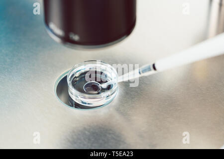 Tecnico di laboratorio medico o mettendo a uovo fertilizzato in laboratorio la fertilità Foto Stock