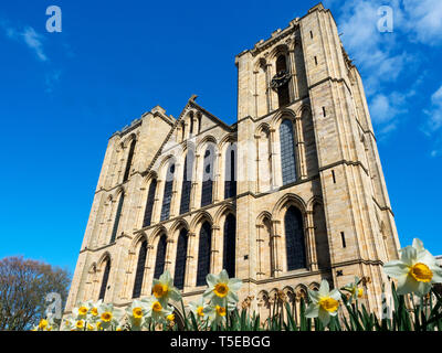 La Chiesa Cattedrale di San Pietro e di San Wilfrid o Ripon cattedrale della città di Ripon North Yorkshire, Inghilterra Foto Stock