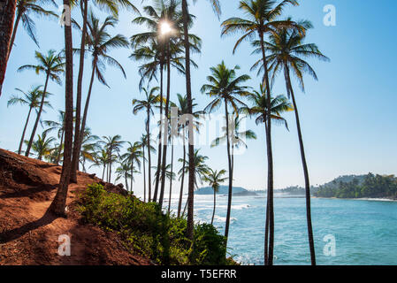 Scenic albero di cocco hill in Mirissa, Sri Lanka Foto Stock