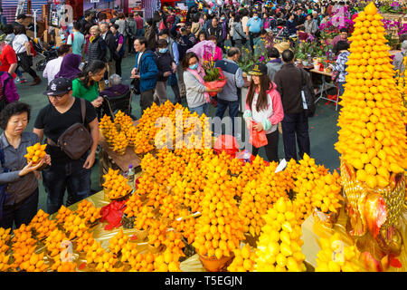 Stallo pomelo, capodanno nuovo anno lunare fiera dei fiori, Victoria Park, Hong Kong SAR, Cina Foto Stock