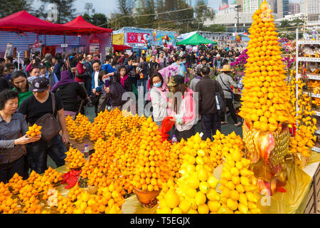 Stallo pomelo, capodanno nuovo anno lunare fiera dei fiori, Victoria Park, Hong Kong SAR, Cina Foto Stock