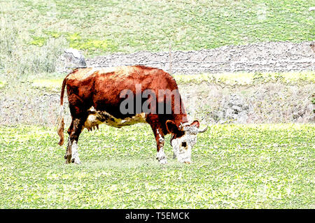 Migliorate digitalmente immagine di un tirolese mucca marrone senza corna pascolano in un pascolo di montagna, la Valle dello Stubai in Tirolo, Austria Foto Stock