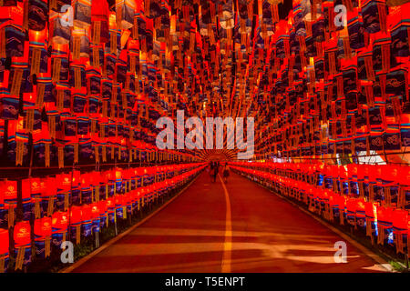 Tunnel delle lanterne durante il Festival delle Lanterne Jinju in Jinju, Corea del Sud Foto Stock