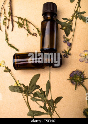 La medicina di erbe, aromaterapia, Vintage foto stilizzata di erba essiccata di fiori e di olio essenziale di bottiglie Foto Stock