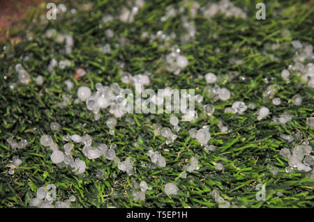 Rocce di grandine sul (sintetico) tagliaerba. Fotografato a Haifa in Israele nel Marzo Foto Stock