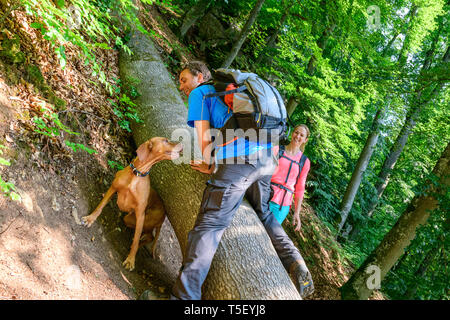 Avventura escursione vicino Dollnstein in Baviera Foto Stock