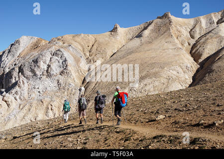 Pralognan La Vanoise (sud-est della Francia): gruppo di quattro gli escursionisti a piedi verso il "Col du Souffre" passano nel Parco Nazionale della Vanoise. Gruppo di fou Foto Stock